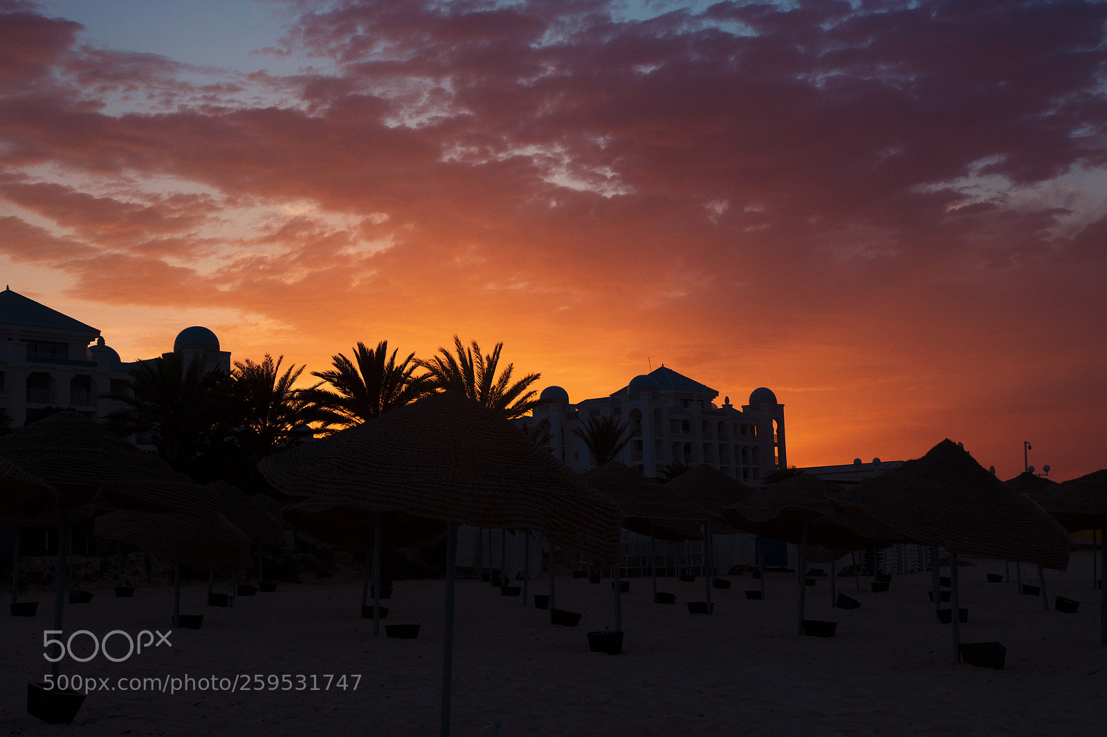 Canon EOS 7D Mark II sample photo. Burning sky photography