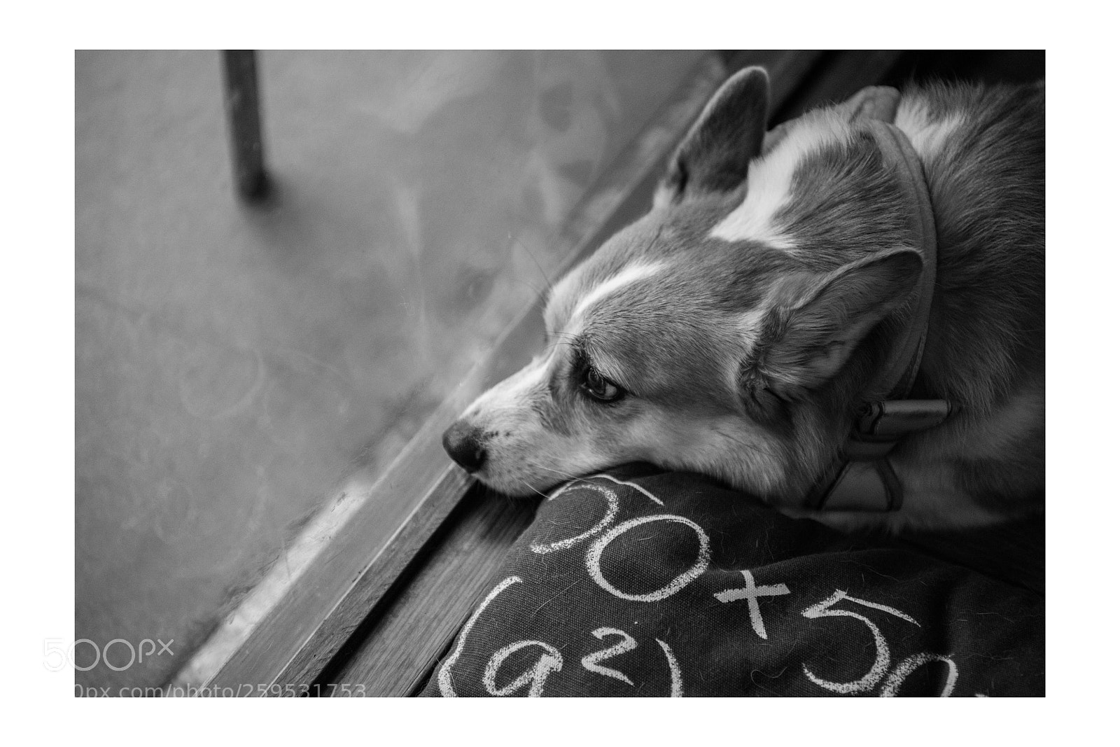 Nikon D810 sample photo. When can i go photography