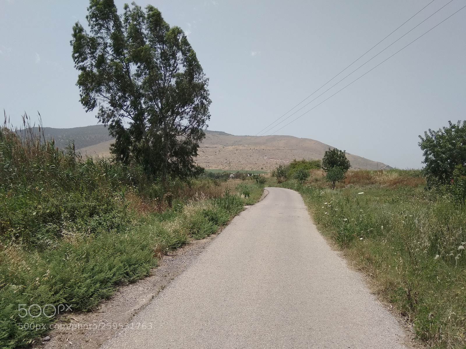Xiaomi Redmi Note 4 sample photo. Untitled photography