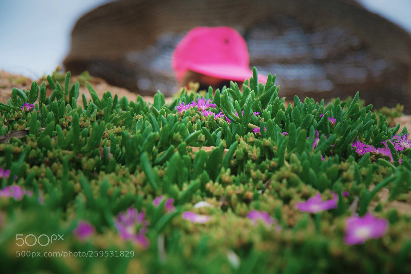 Canon EOS 7D Mark II sample photo. No title photography
