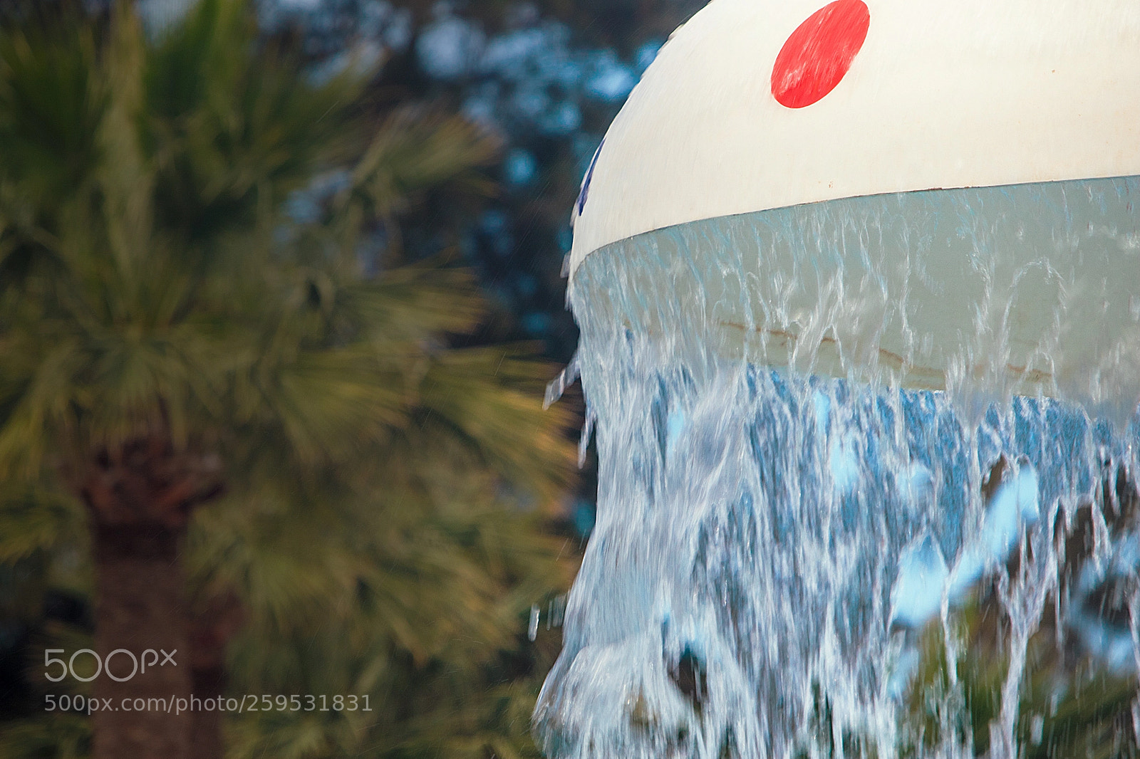 Canon EOS 7D Mark II sample photo. No title photography
