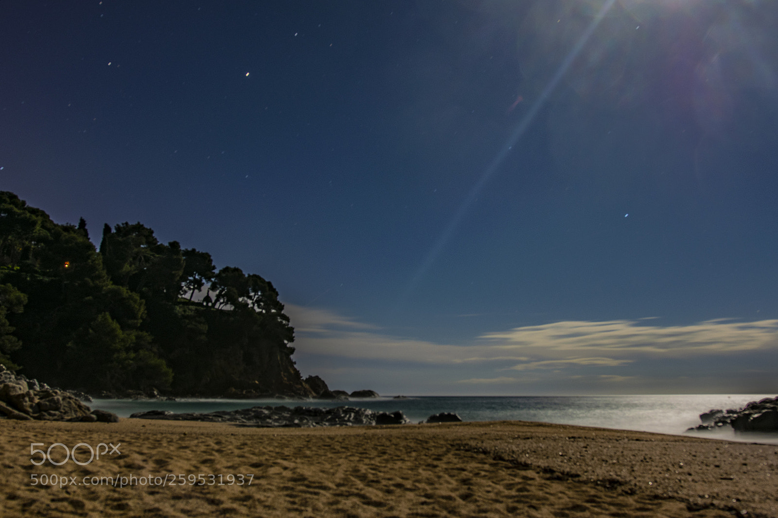 Nikon D5300 sample photo. Clear sky with full photography