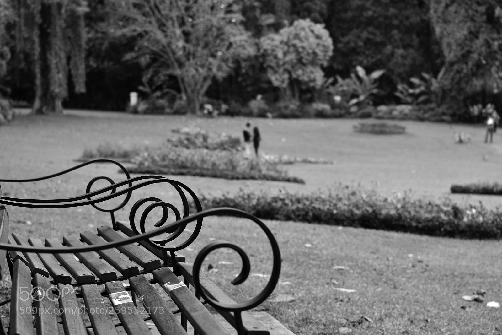 Nikon D3400 sample photo. Emptiness photography