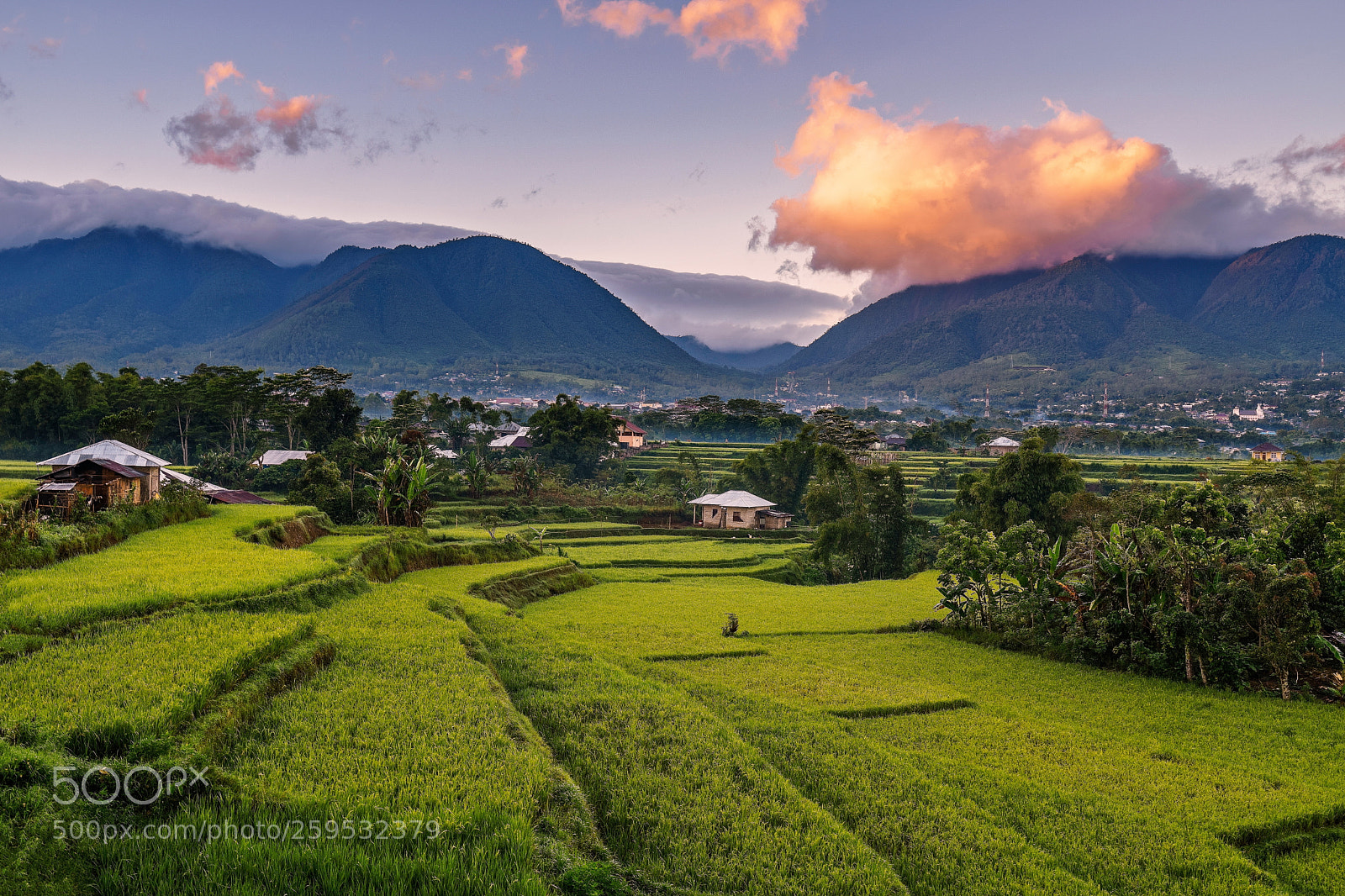 Sony a7 II sample photo. Rice fields ruteng flores photography