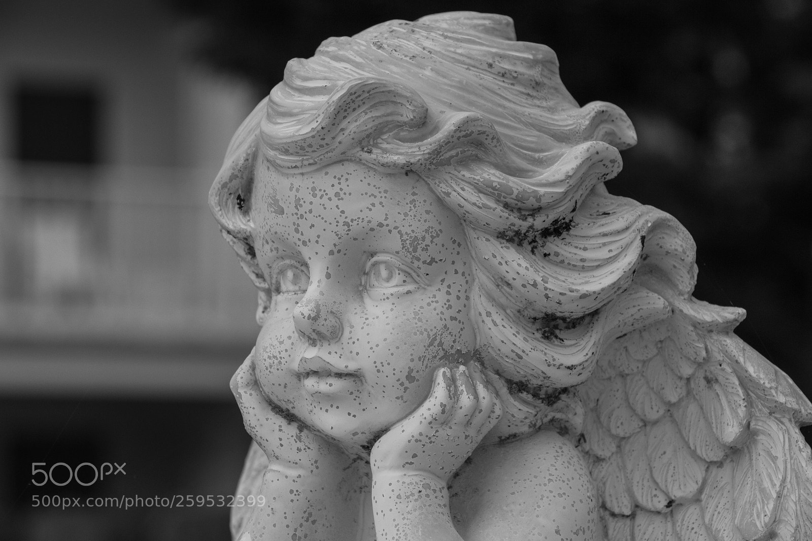 Canon EOS 700D (EOS Rebel T5i / EOS Kiss X7i) sample photo. Watchful eyes photography