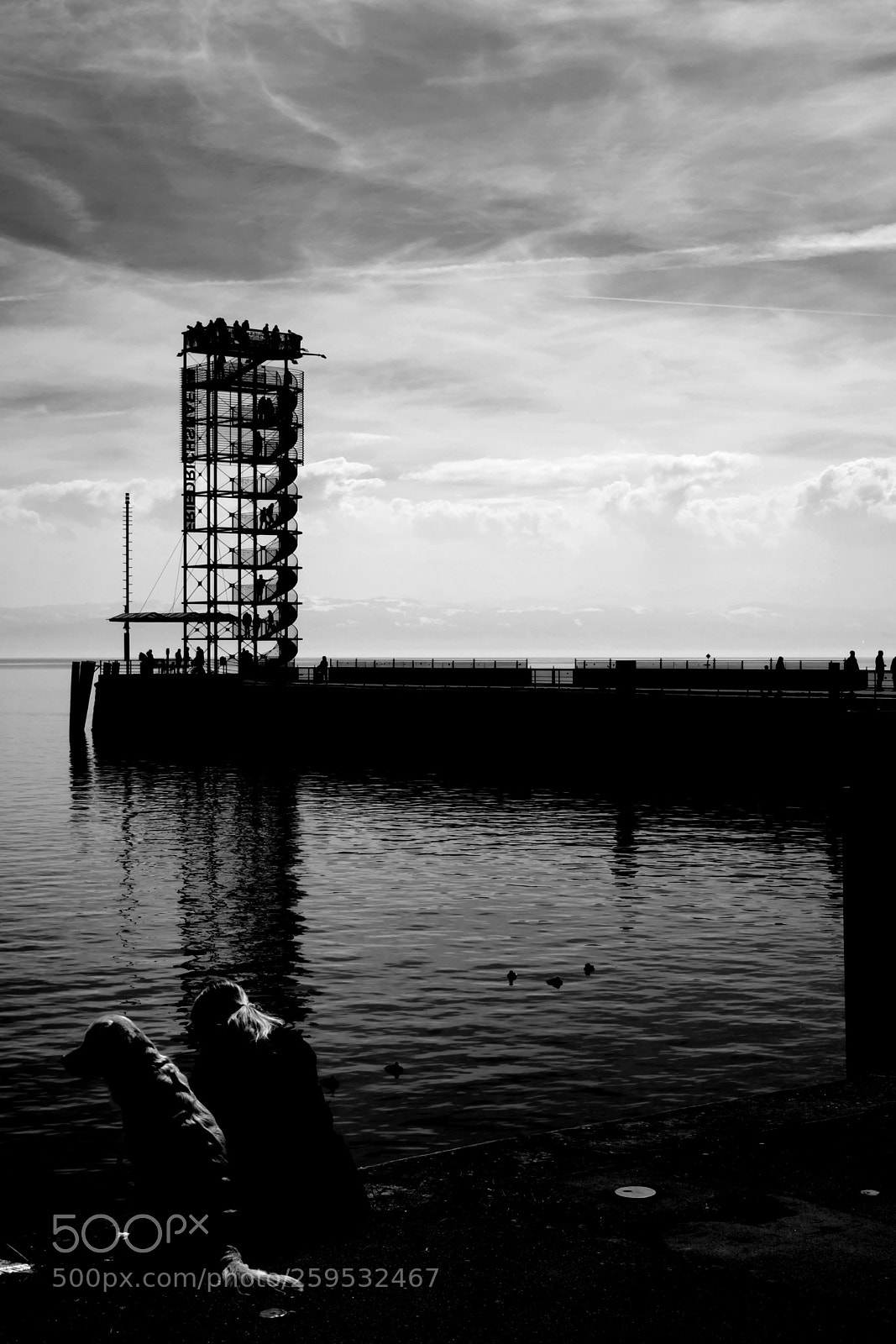 Fujifilm X-T2 sample photo. Px001175 photography