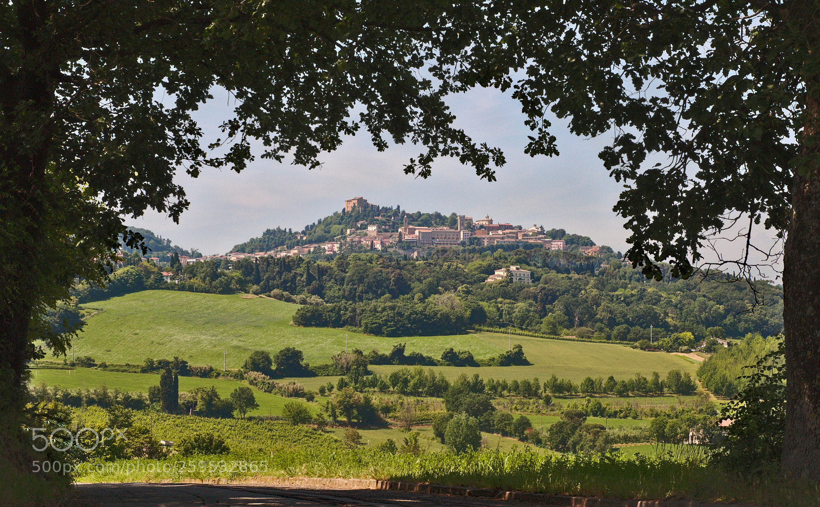 Canon EOS 70D sample photo. Bertinoro photography