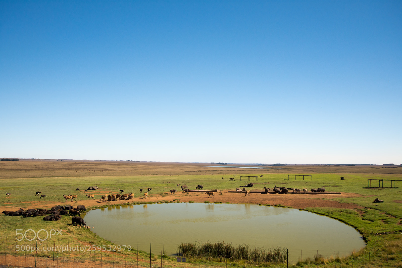 Nikon D7200 sample photo. The beautiful view at photography