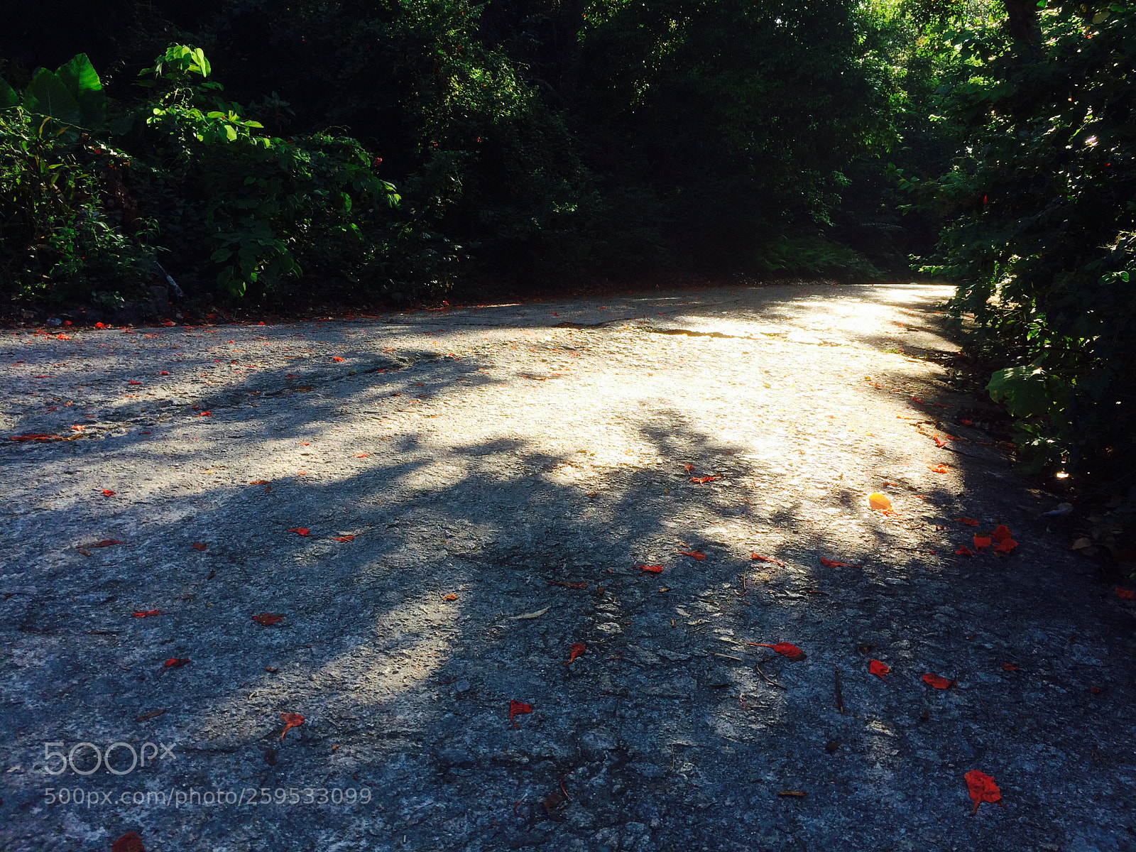 Apple iPhone 5s sample photo. Untitled photography