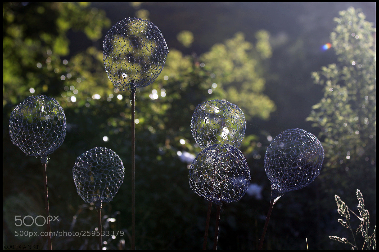 Canon EOS 5D Mark II sample photo. Empty balloon photography