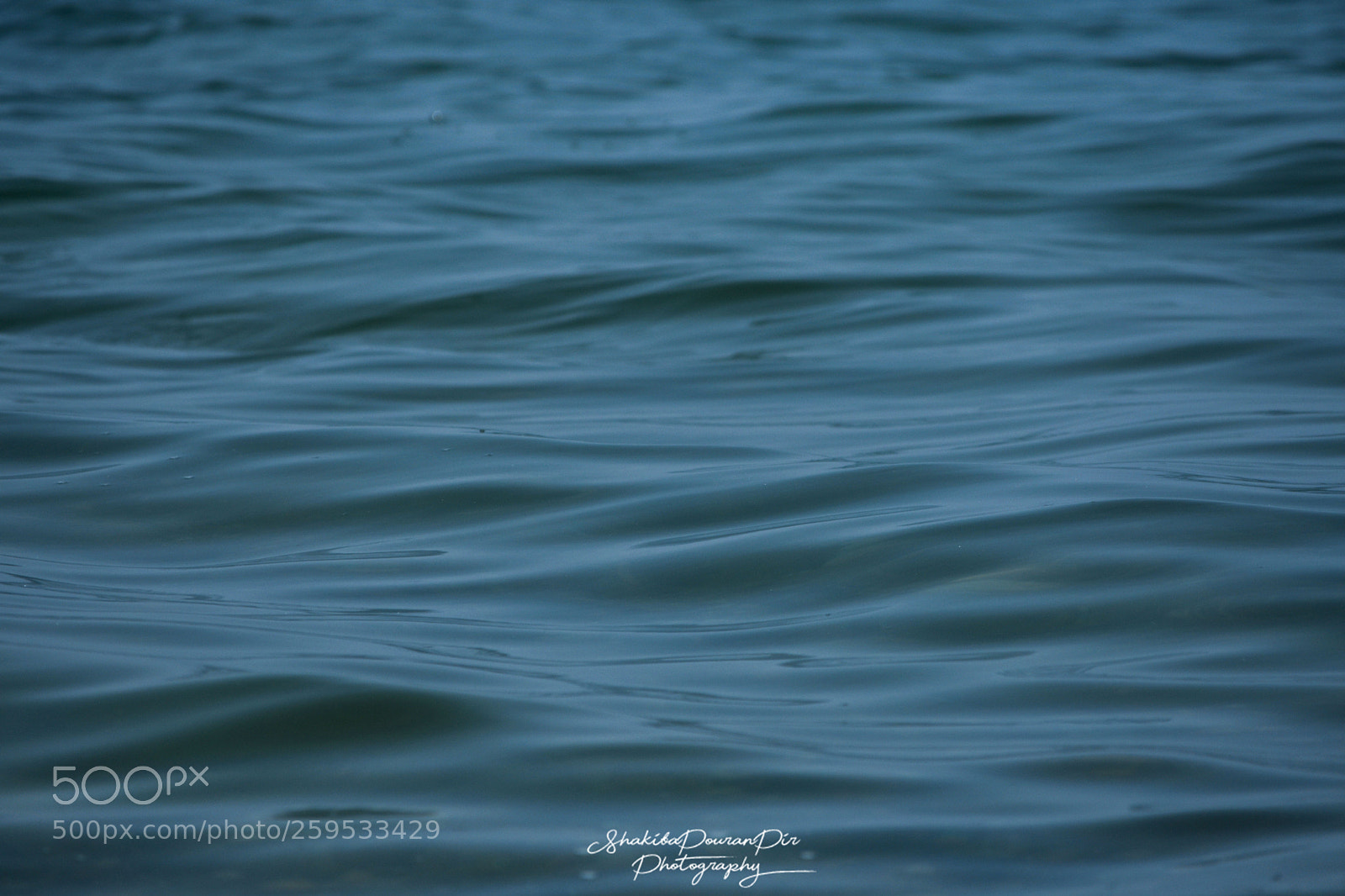 Nikon D3400 sample photo. Sea_iran photography