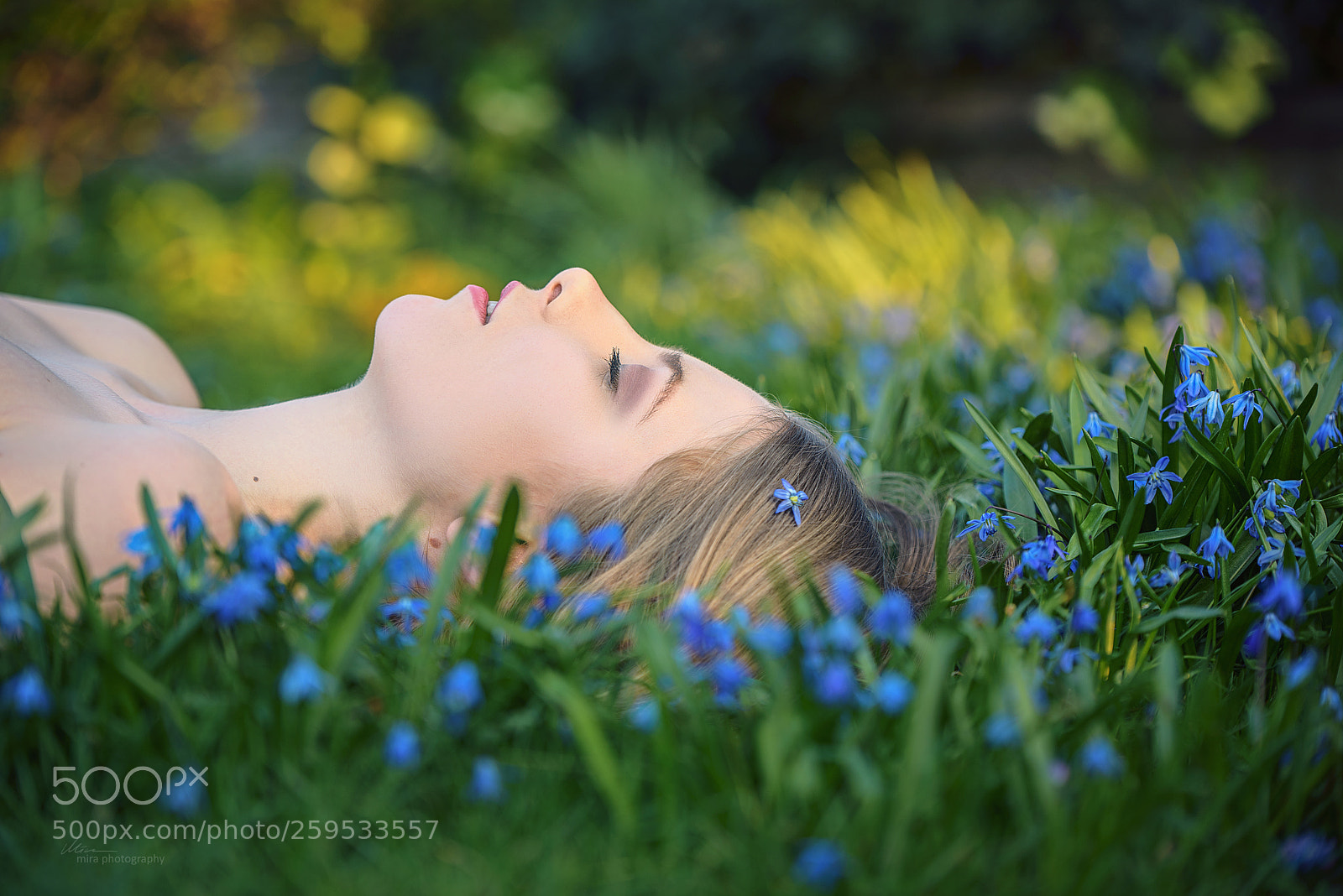 Nikon D750 sample photo. Spring meditation photography