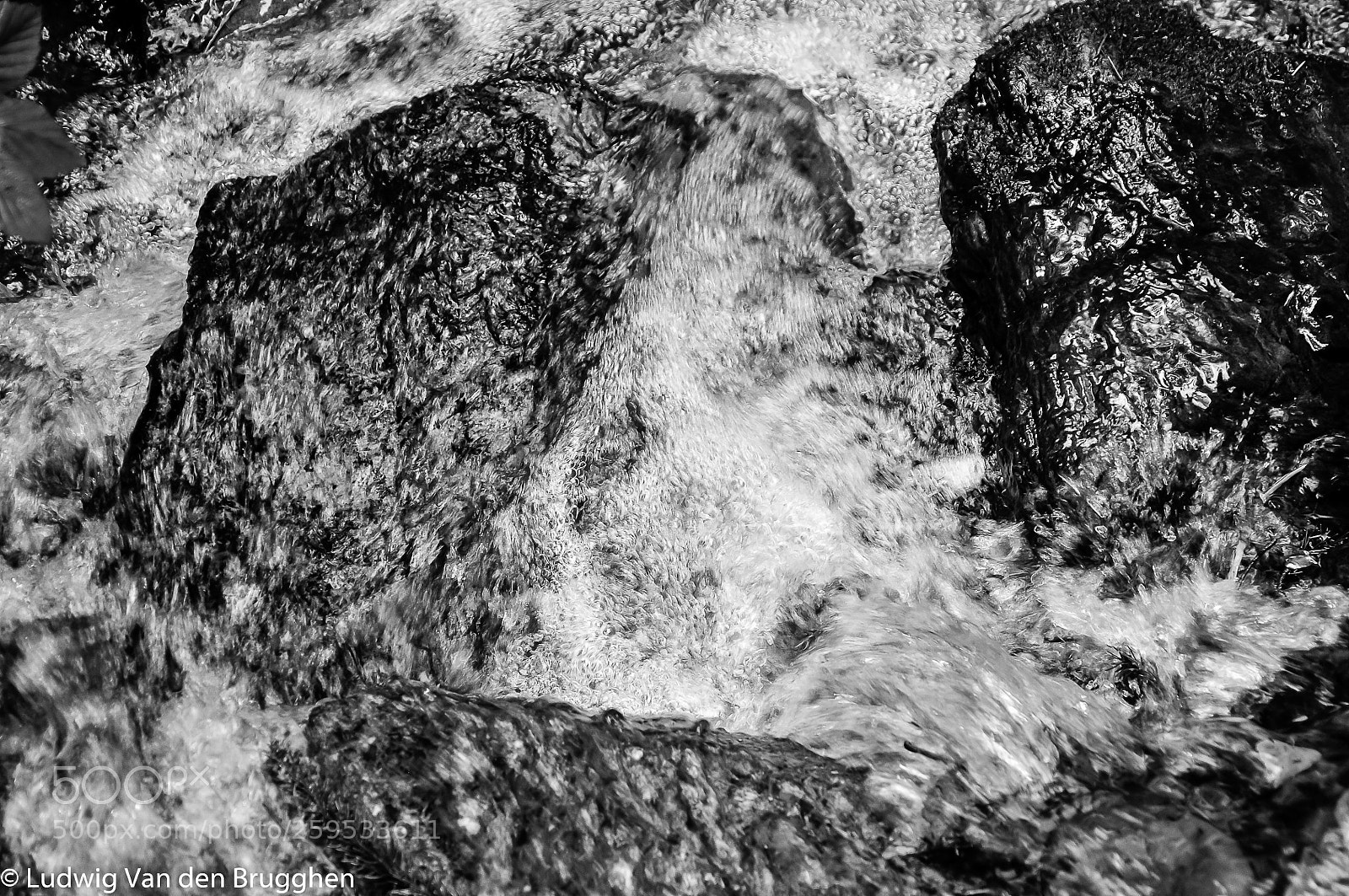 Nikon D300 sample photo. Force of nature photography