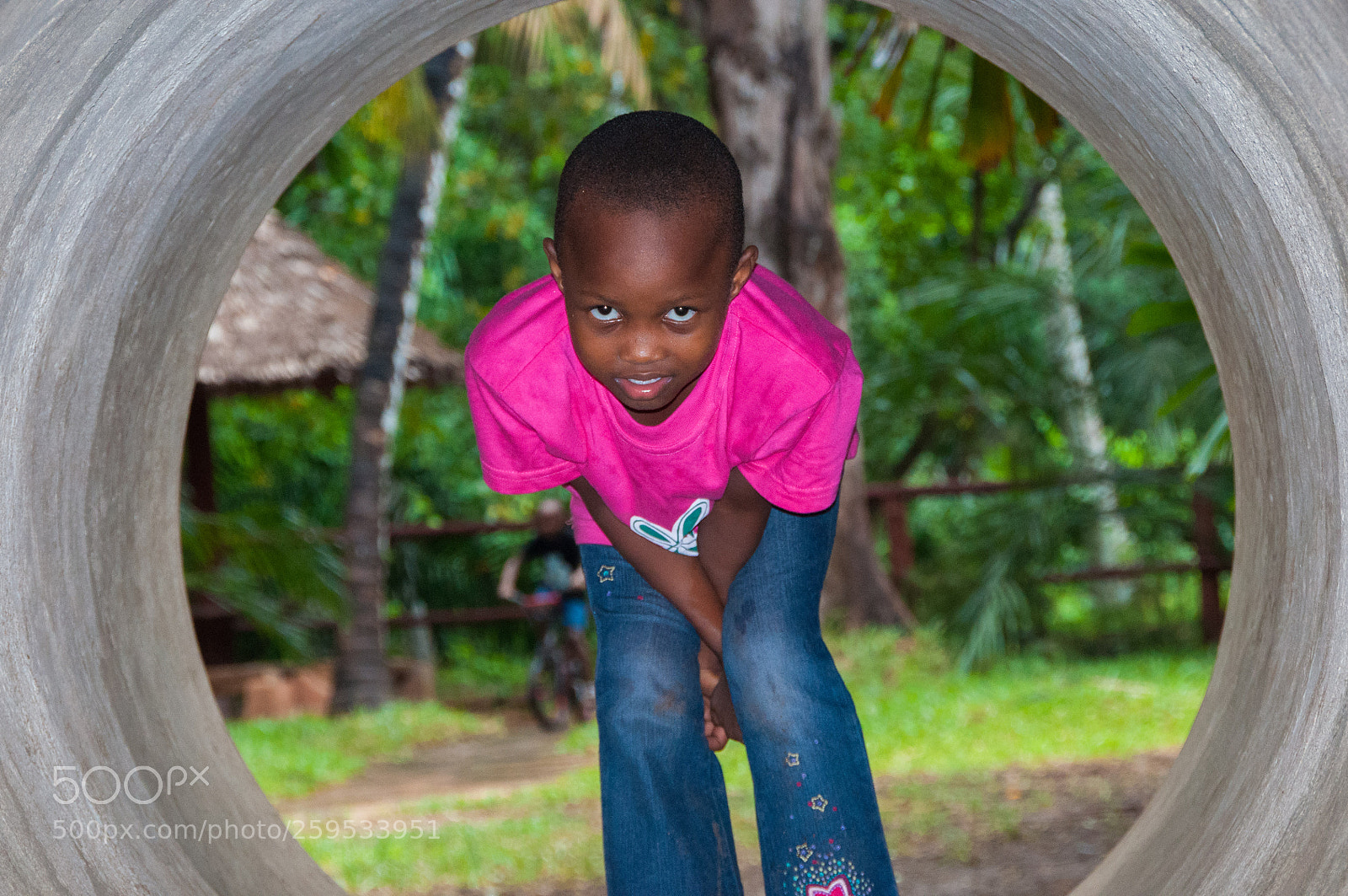 Nikon D90 sample photo. Untitled photography