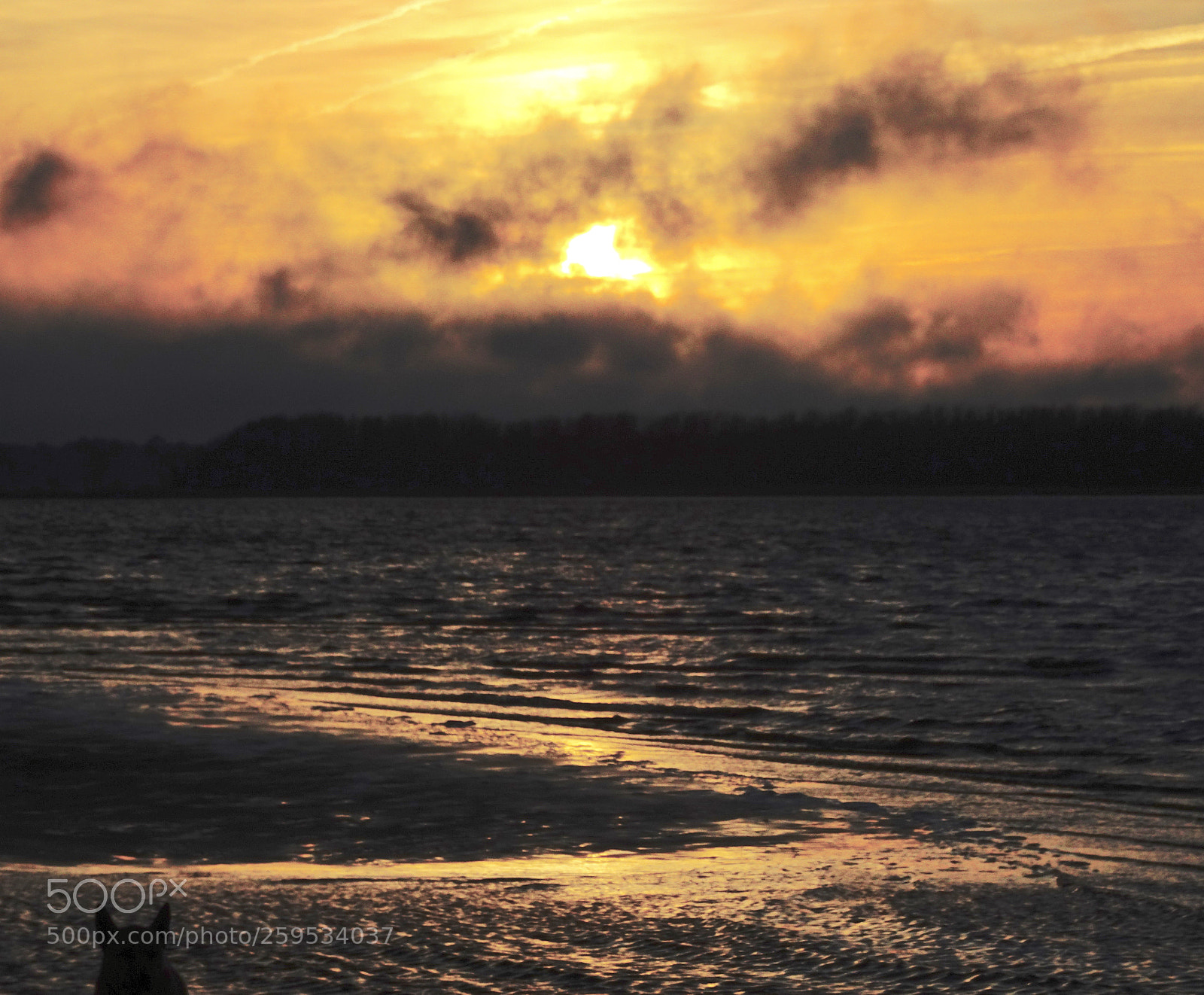 Sony Cyber-shot DSC-HX90V sample photo. Untamed sunset photography