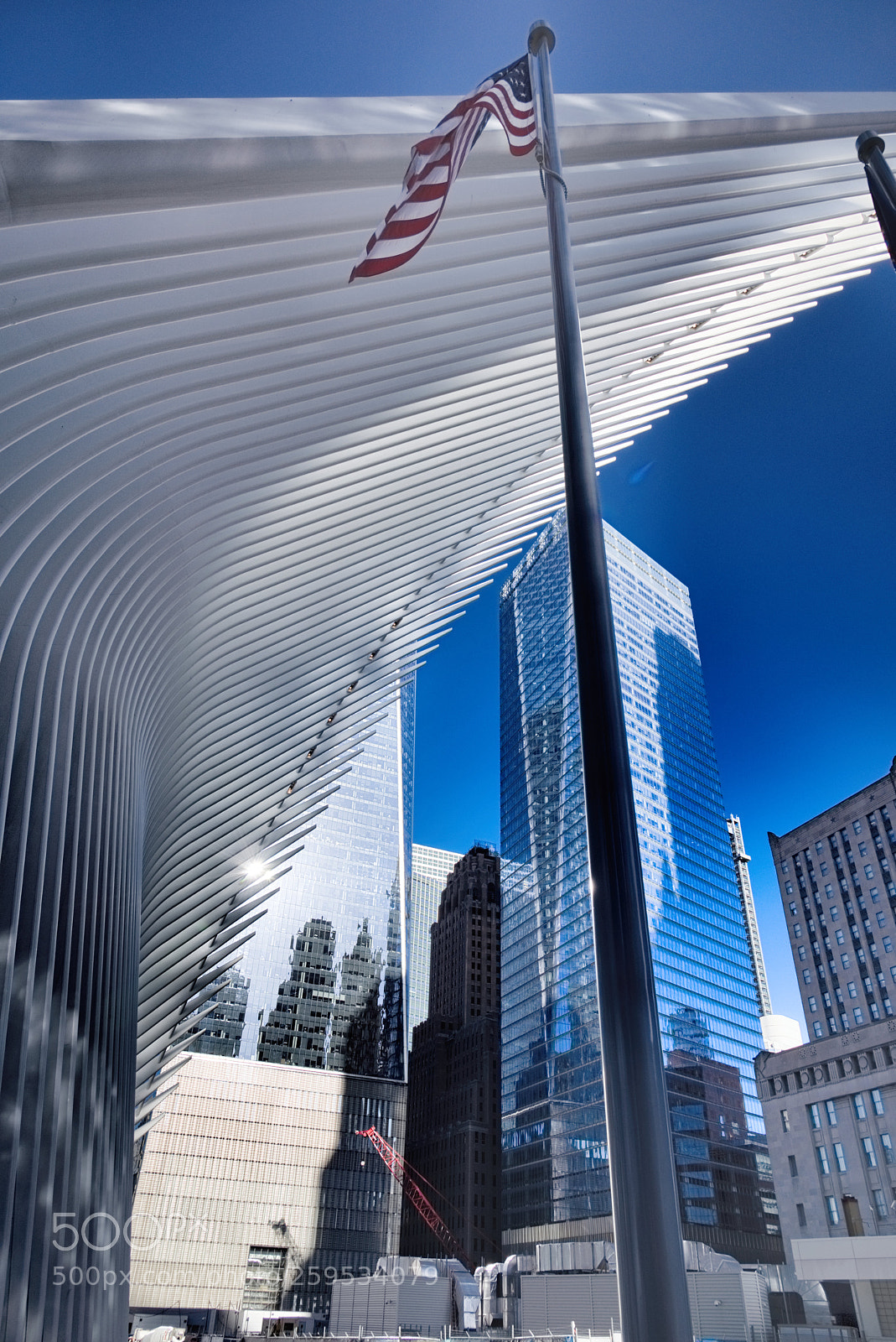 Nikon D810 sample photo. The oculus photography