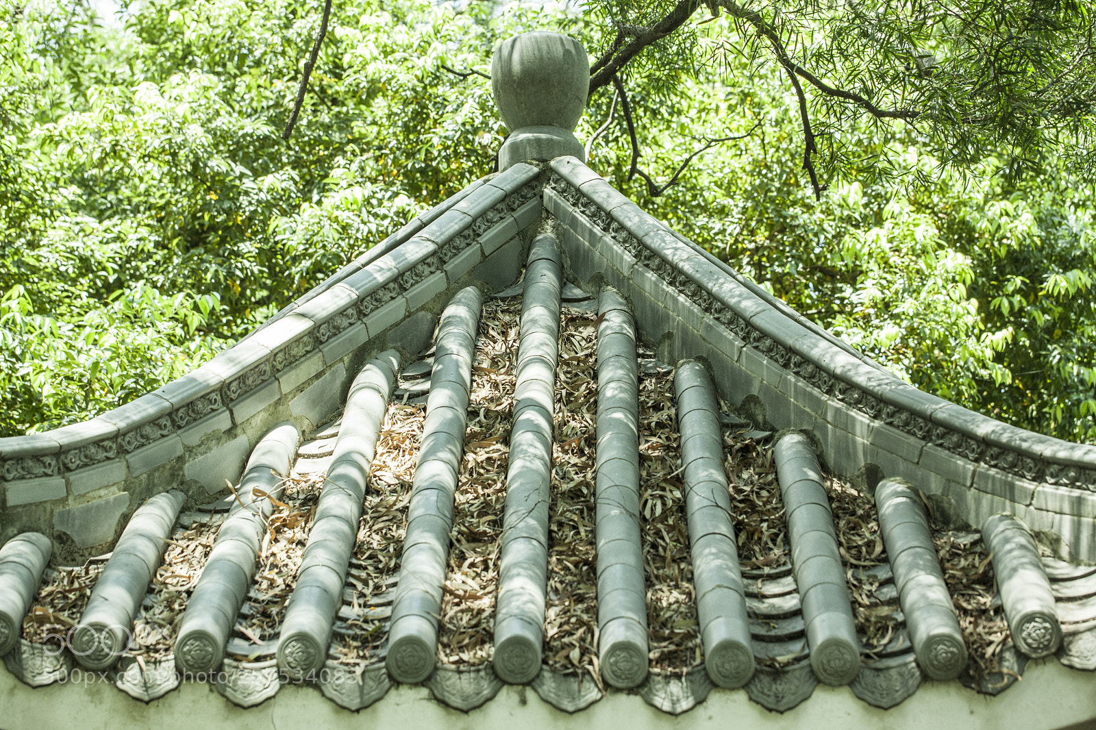 Canon EOS 5D Mark II sample photo. Roof photography