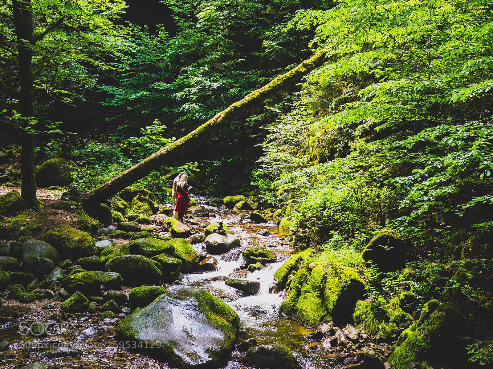 Olympus OM-D E-M1 sample photo. Black forest falls 2 photography