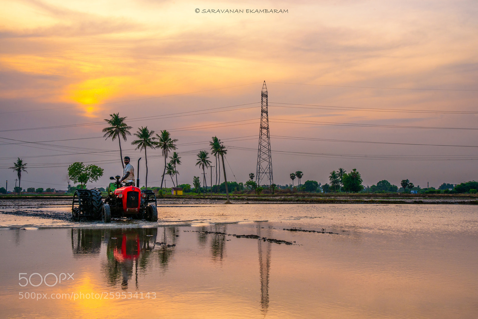 Nikon D750 sample photo. End of the day photography