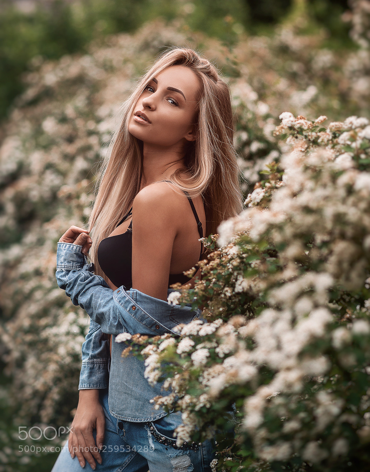 Nikon D610 sample photo. Flowers photography