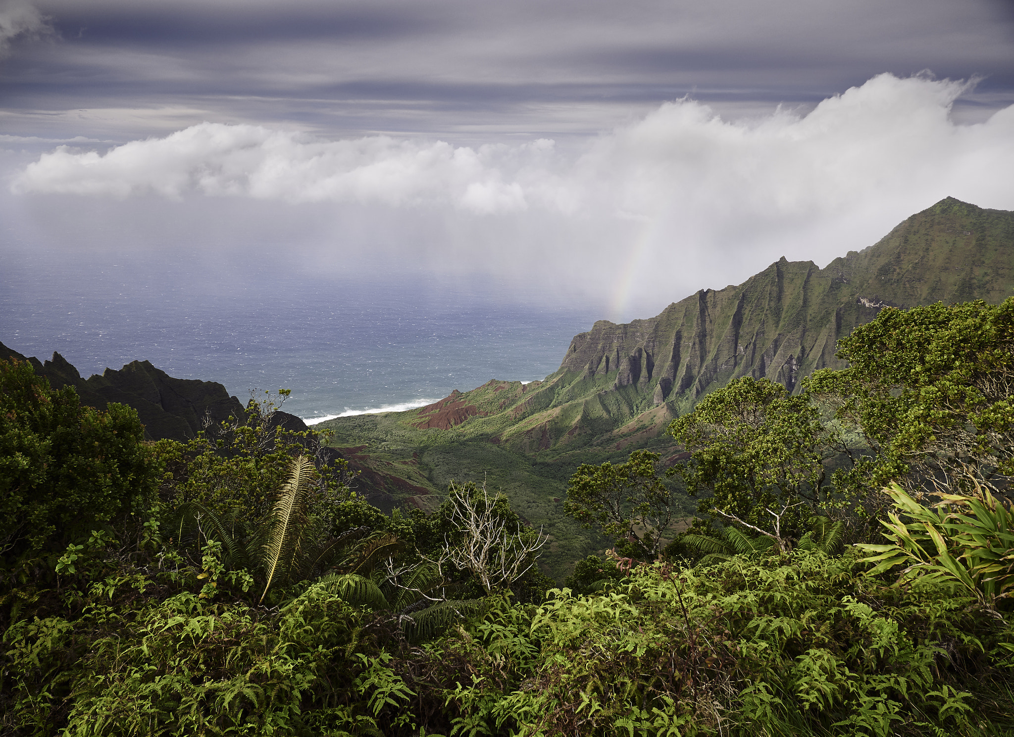 Panasonic Lumix DMC-G85 (Lumix DMC-G80) sample photo. Hawaiian highlands 6 photography