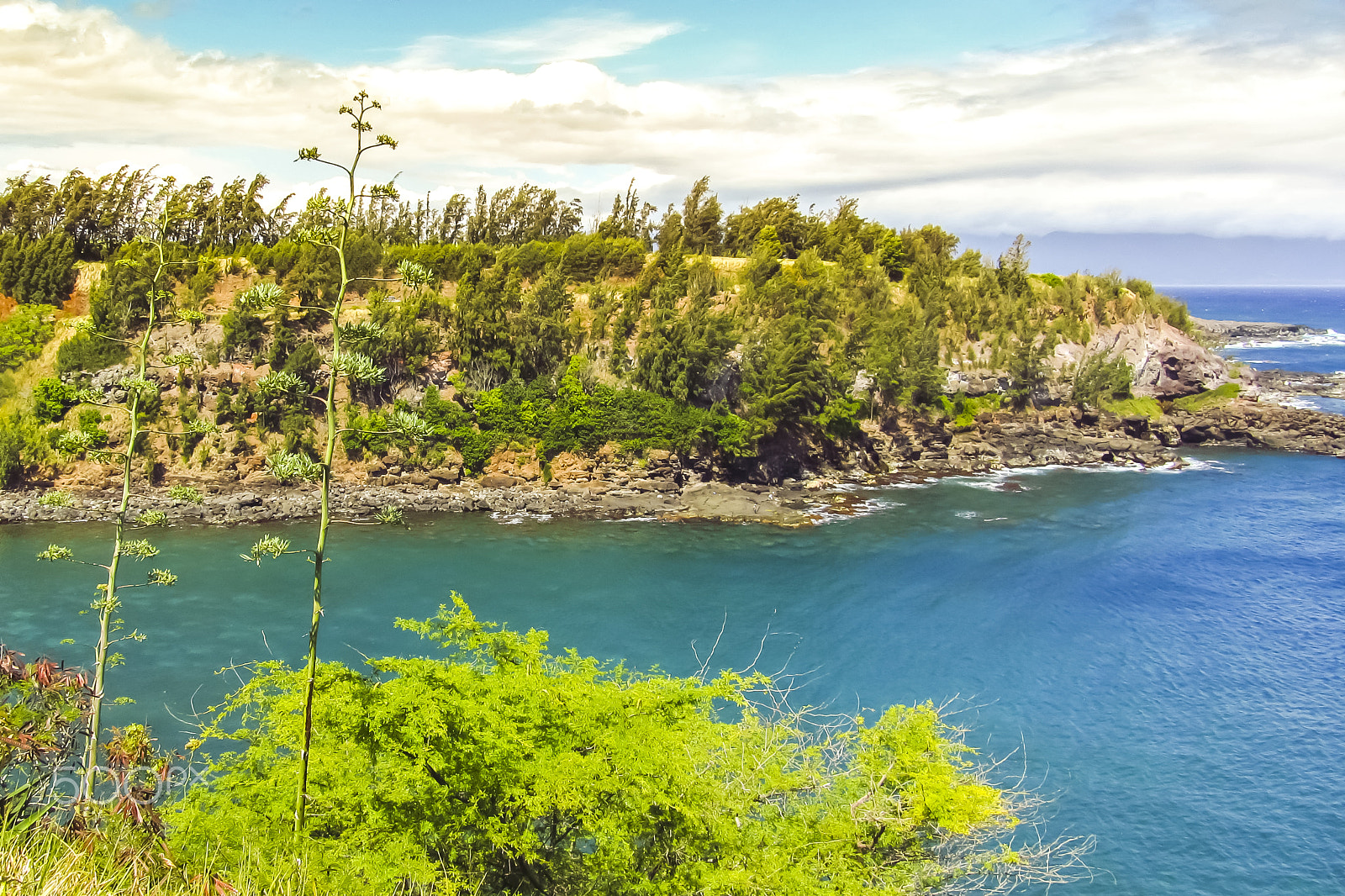 Canon PowerShot SX230 HS sample photo. Hawaii - hana hwy cliff photography