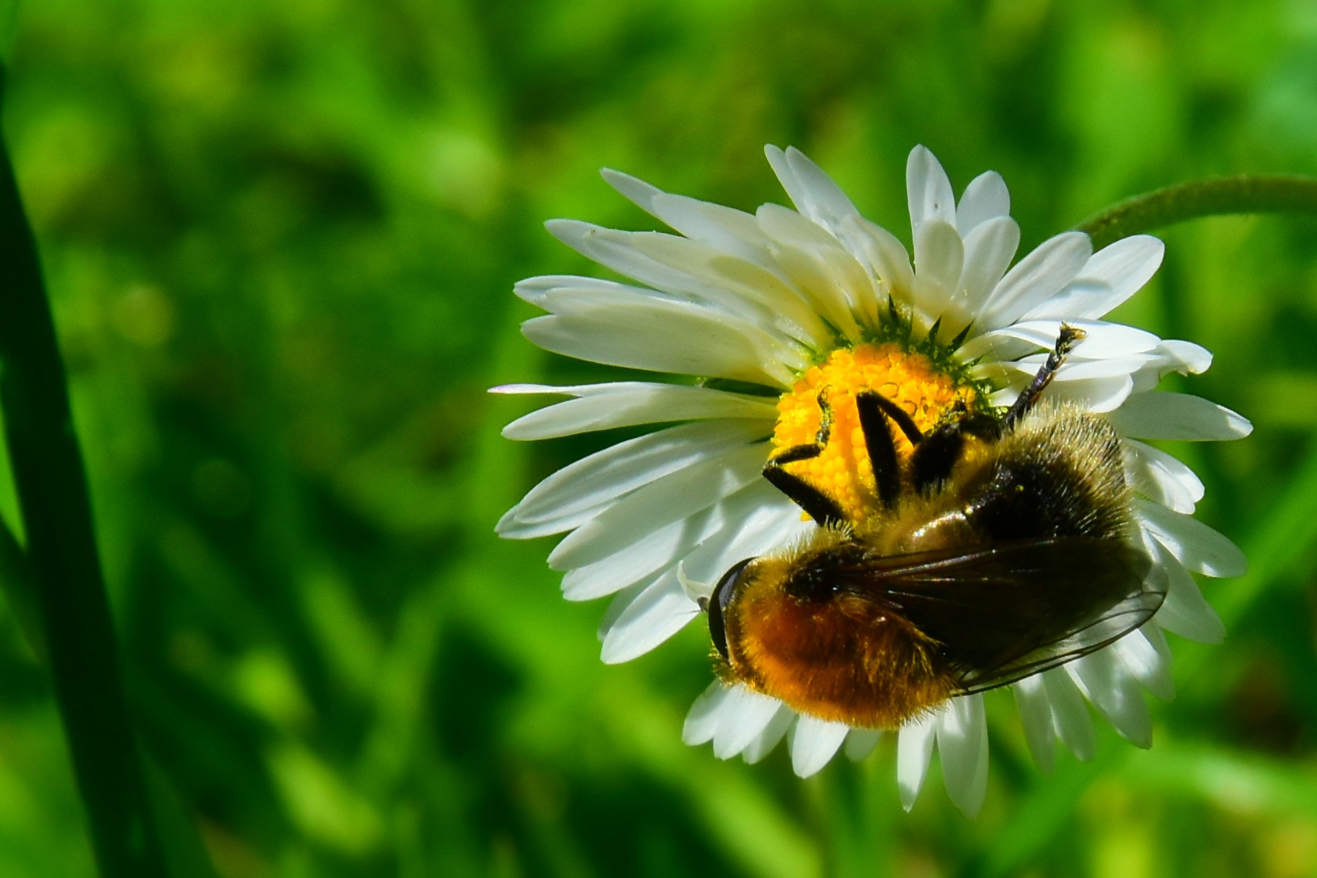 Nikon D5600 sample photo. Dsc photography