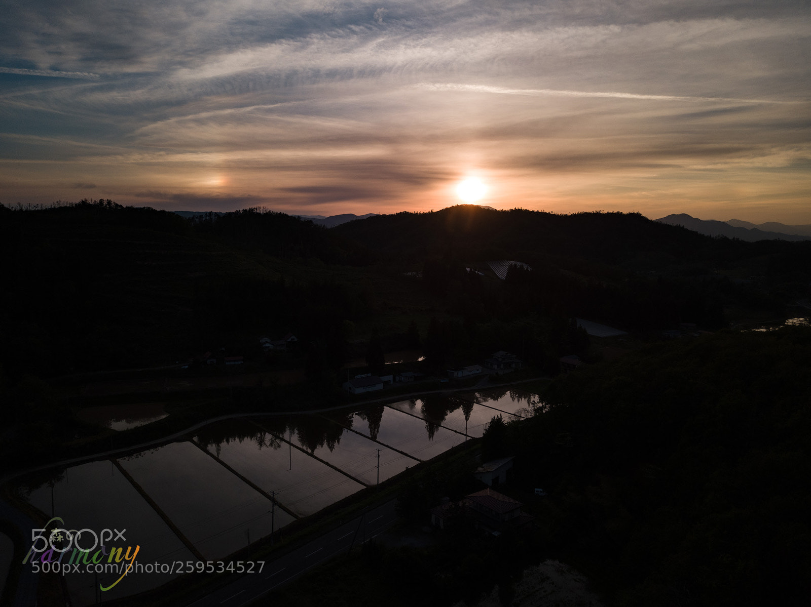 DJI FC220 sample photo. Sunset of the rice photography