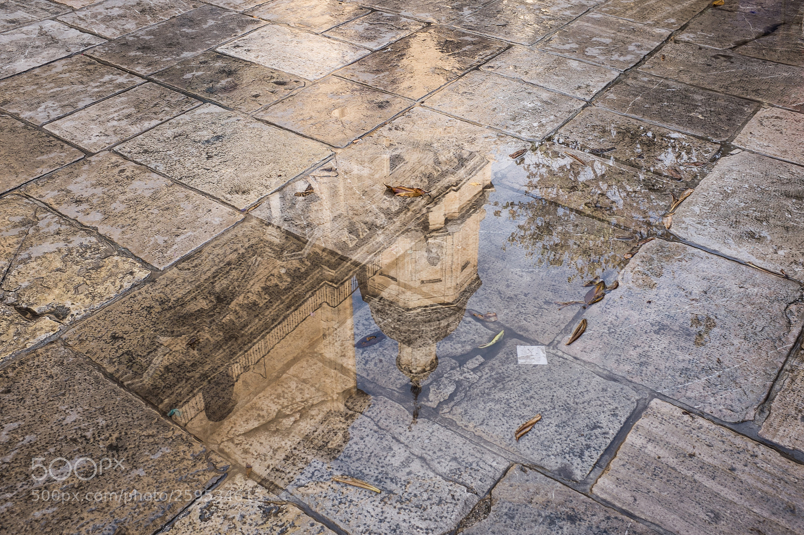 Fujifilm X100T sample photo. Nach dem regen after photography