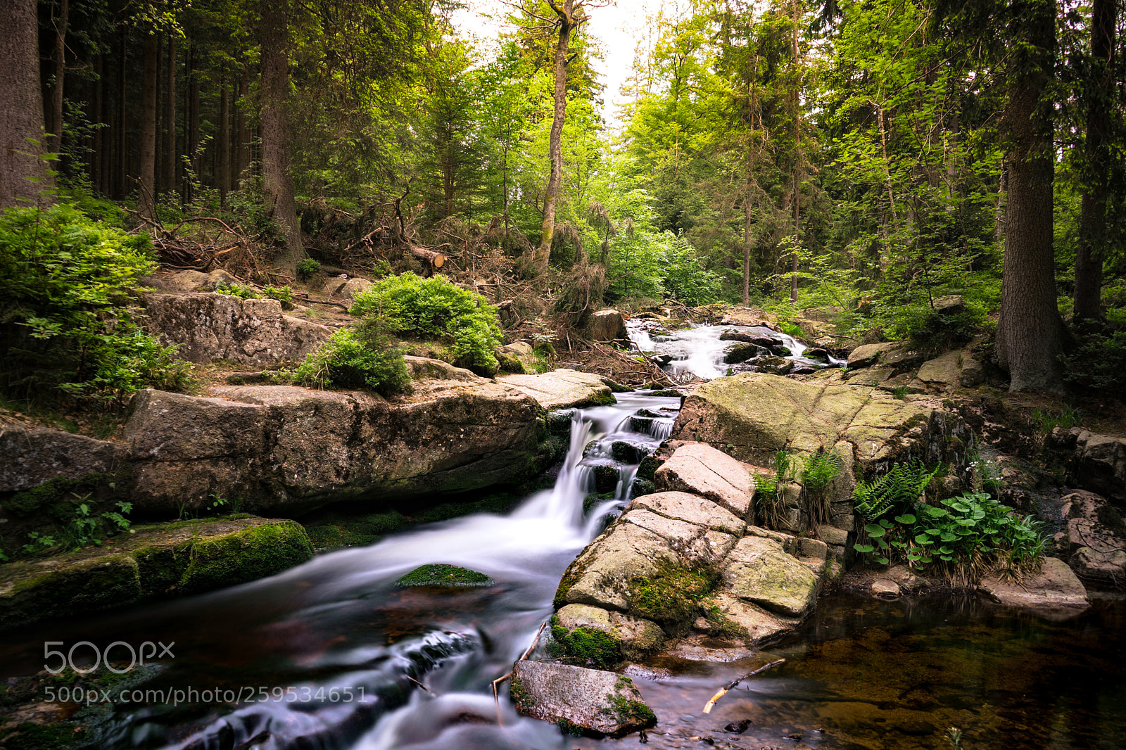 Sony a7 sample photo. Creek summer landscape photography