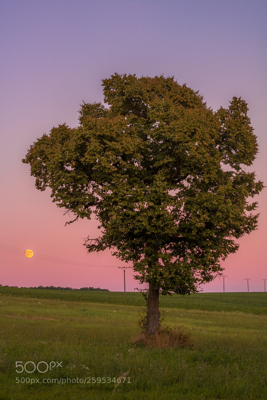 Canon EOS 760D (EOS Rebel T6s / EOS 8000D) sample photo. Sunset from other side photography