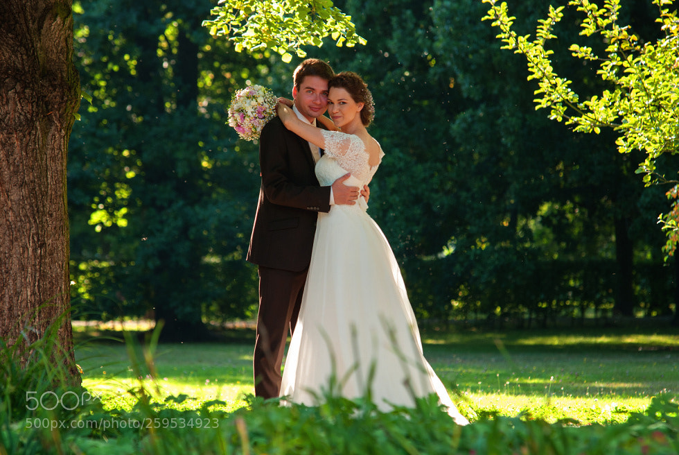 Nikon D80 sample photo. Untitled photography