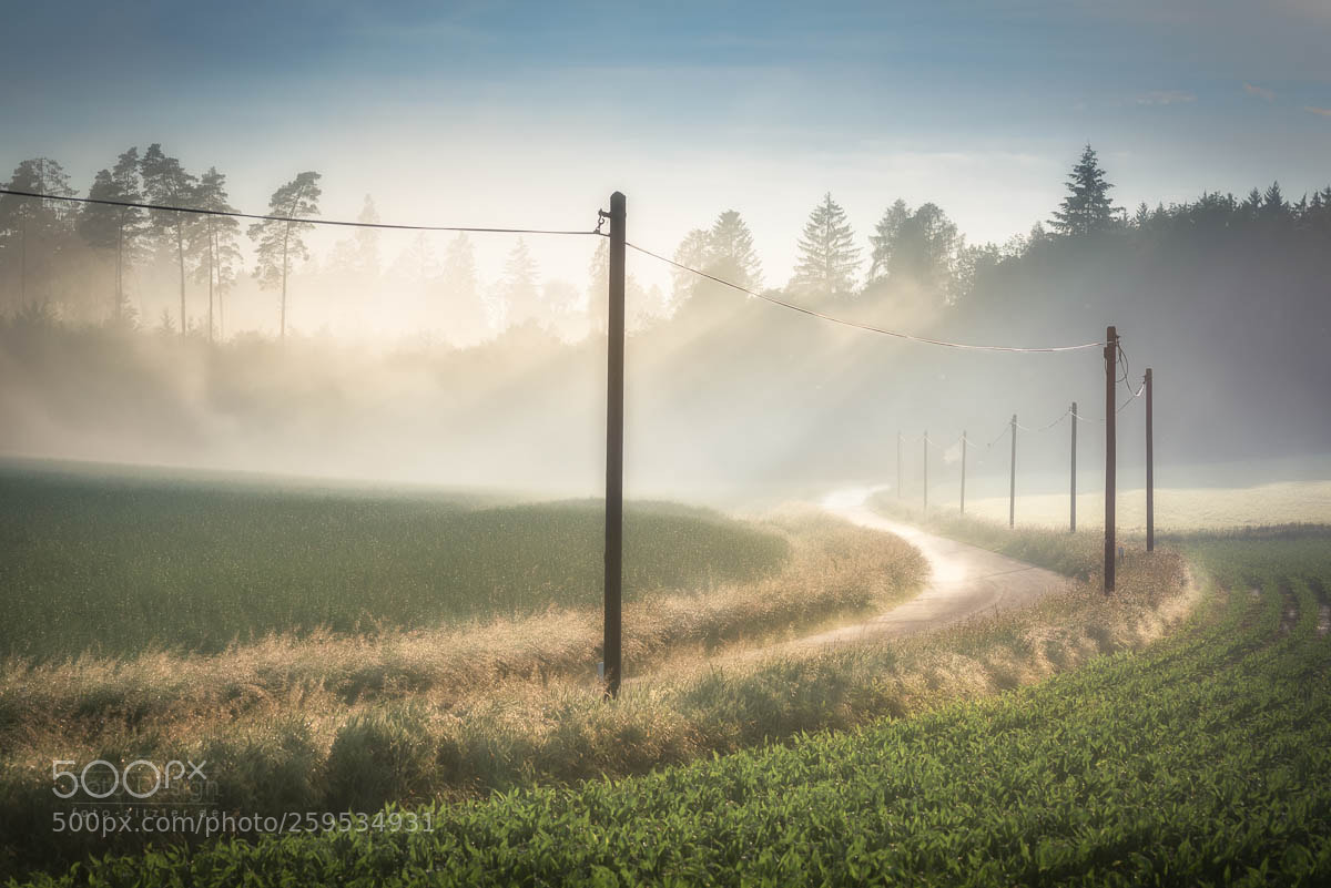 Nikon D750 sample photo. Country road photography