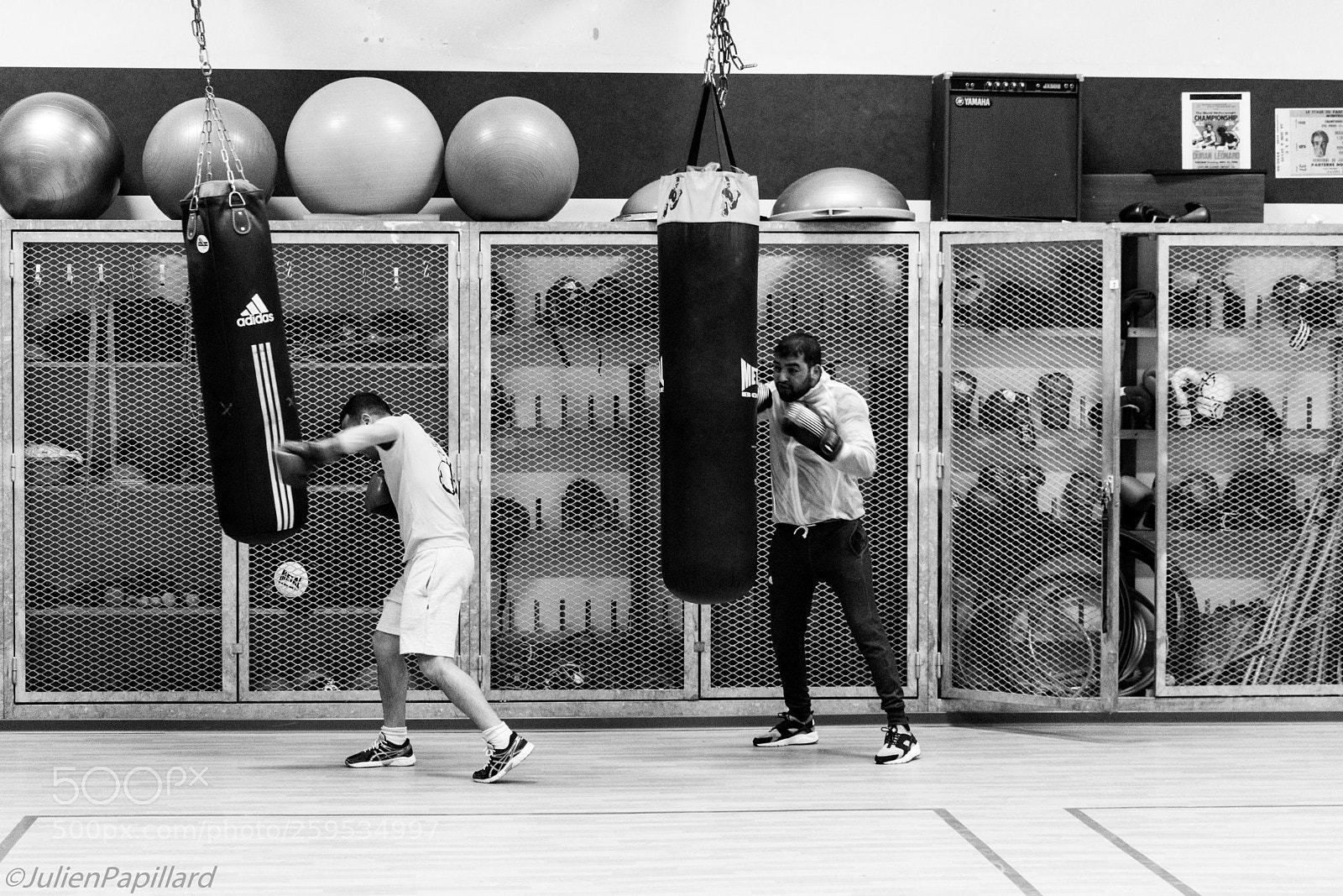 Nikon D7200 sample photo. Entrainement photography