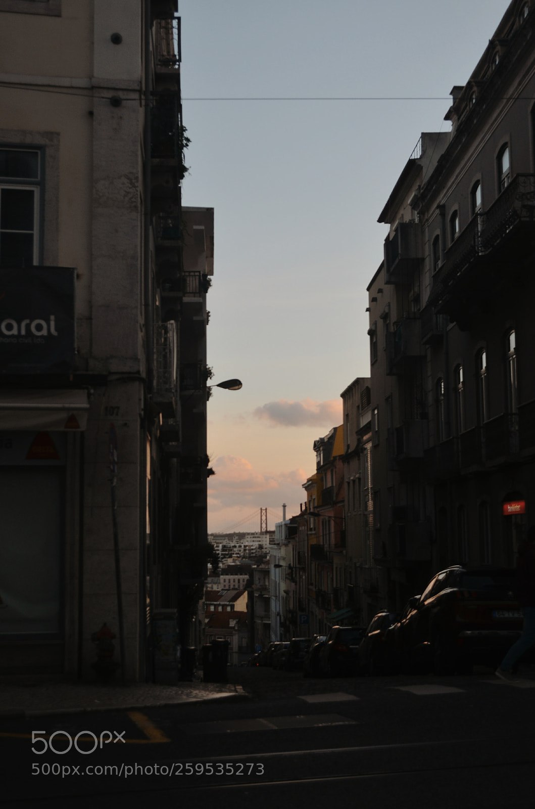 Nikon D5100 sample photo. Untitled photography