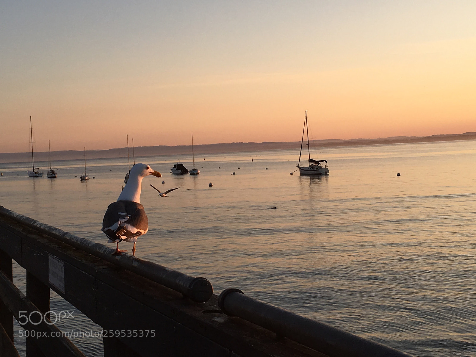 Apple iPhone 6s sample photo. Sunrise  photography
