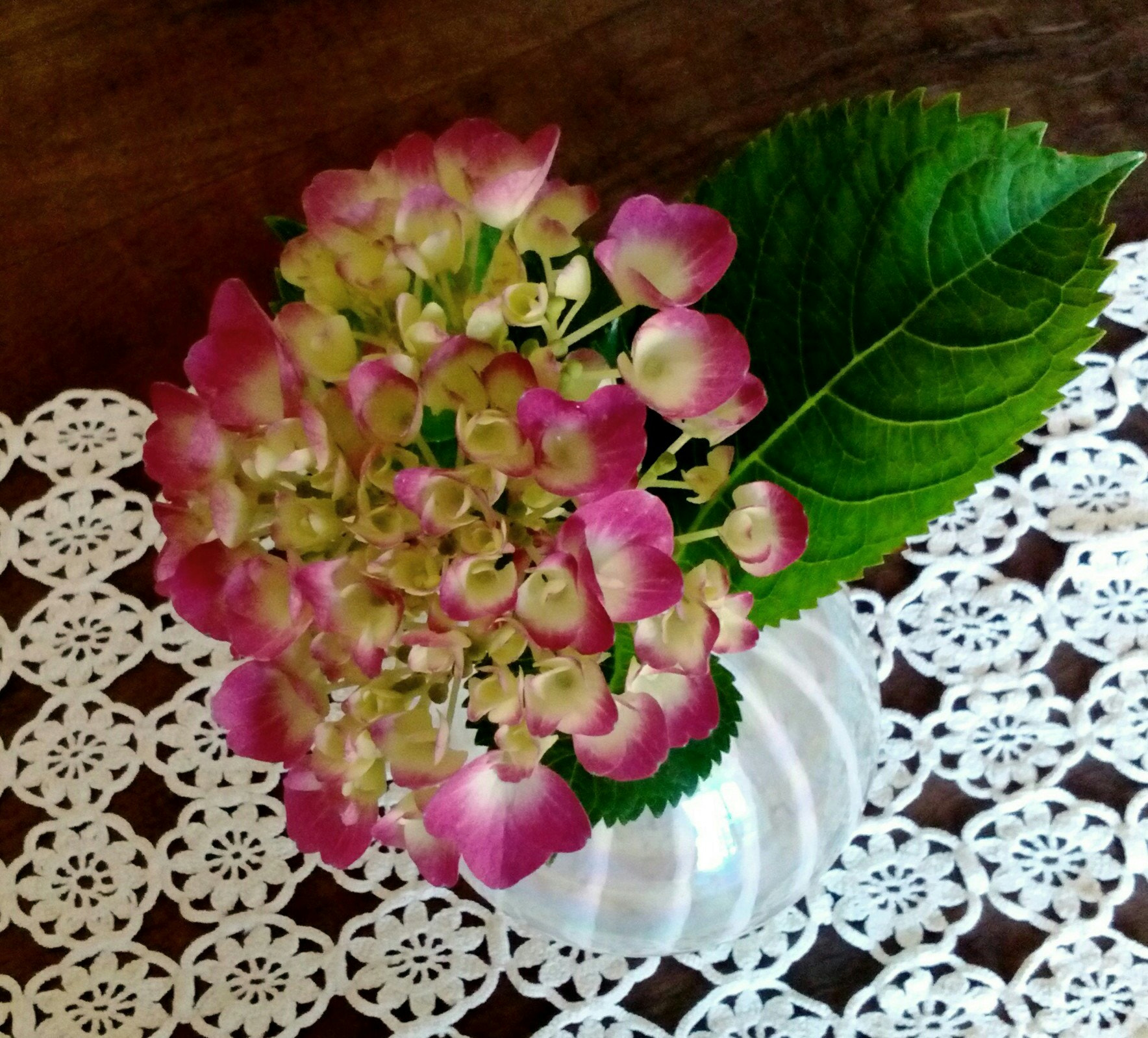 LG BELLO II sample photo. Still life with hydrangea photography