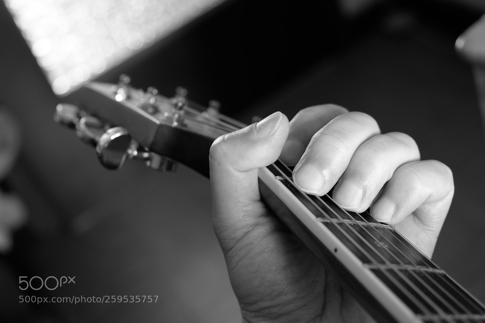 Fujifilm X-T2 sample photo. Untitled photography
