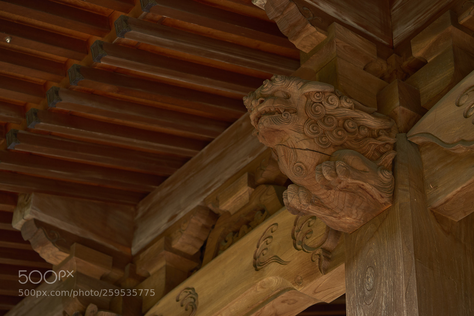 Sony a7 sample photo. Street 323 photography