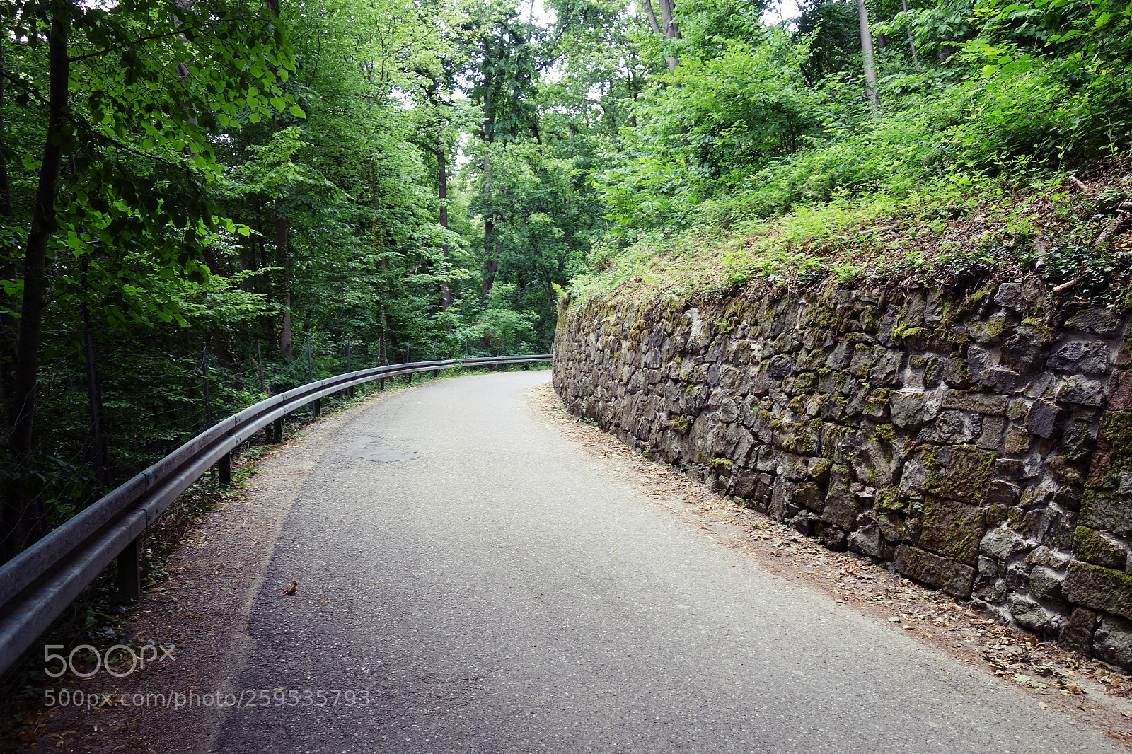 Sony Cyber-shot DSC-RX100 sample photo. Hiking at schlossberg photography