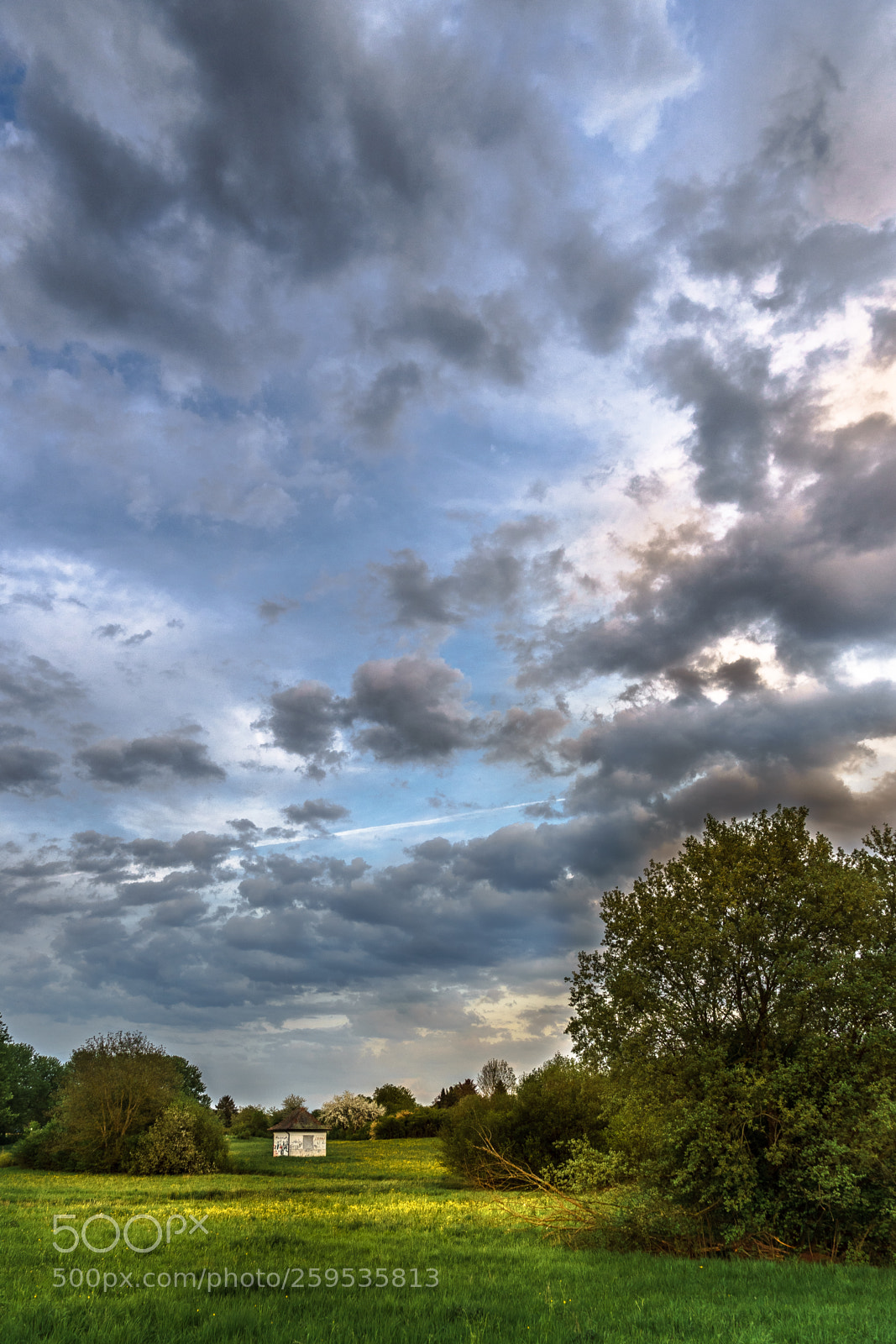Sony a7 II sample photo. Just a nice sky photography