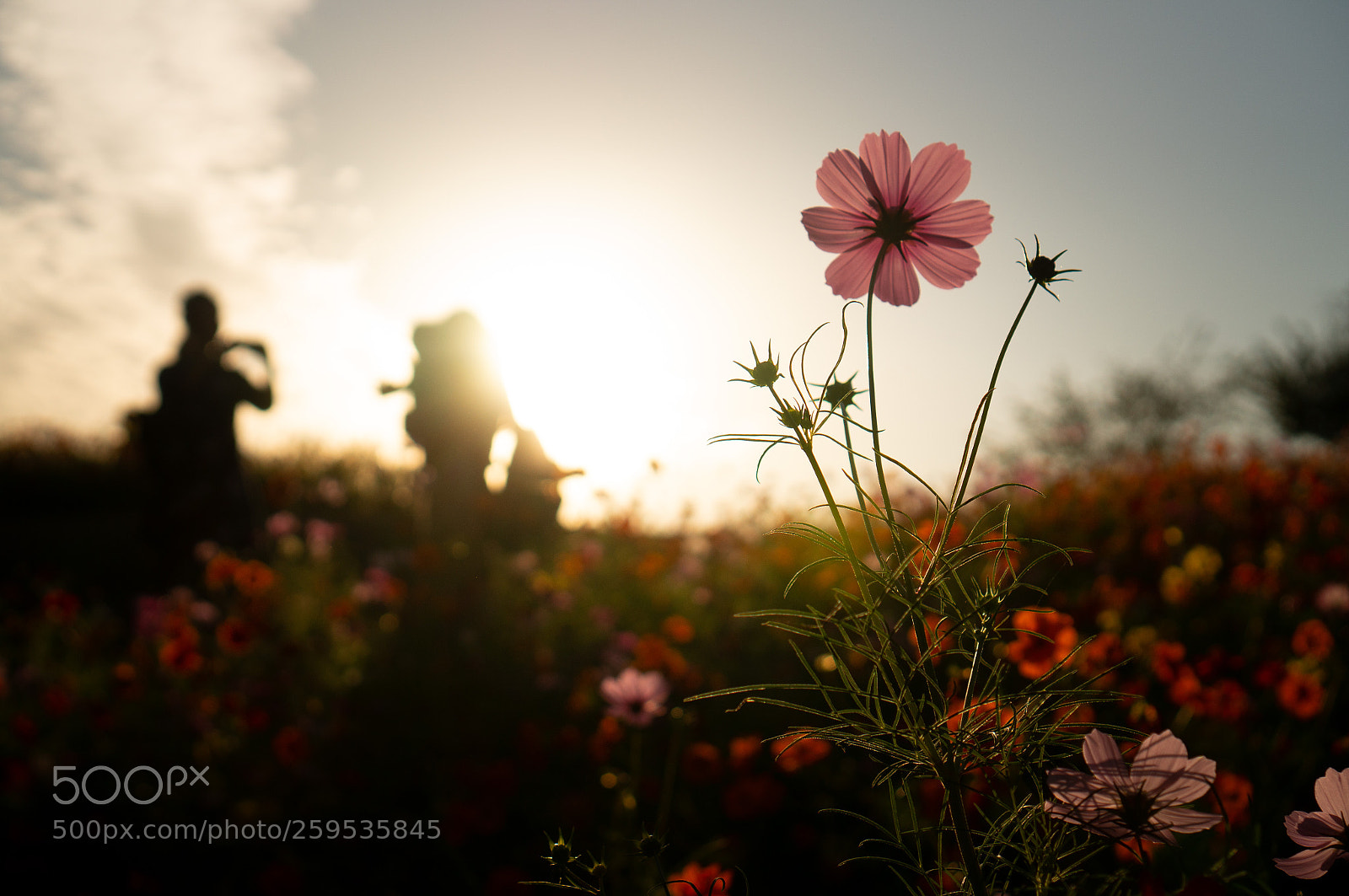 Sony Alpha NEX-6 sample photo. Sunset 01 photography