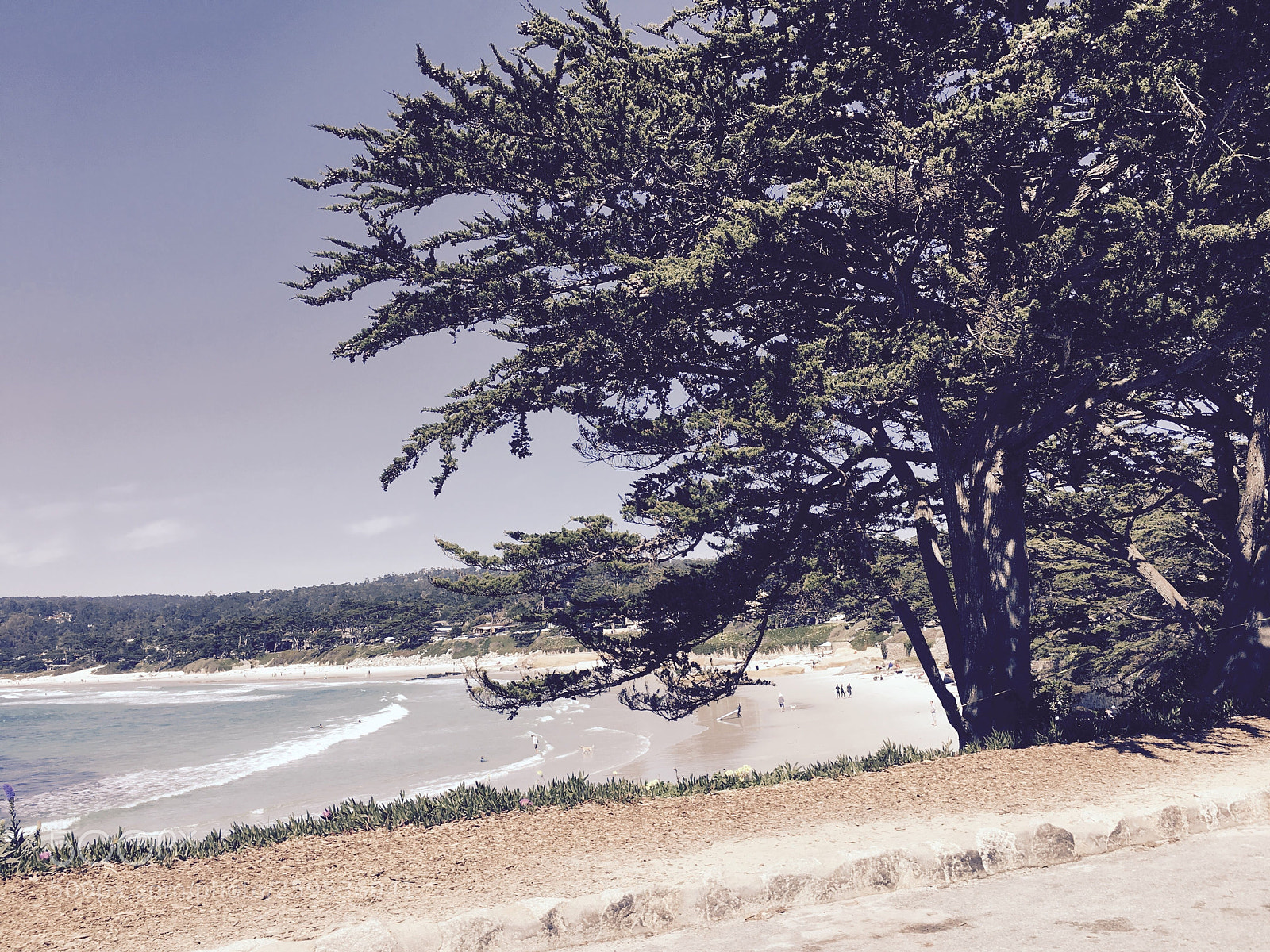 Apple iPhone 6s sample photo. Scenic drive  photography