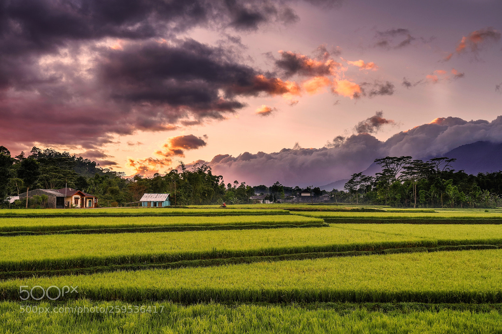 Sony a7 II sample photo. Zigzag photography