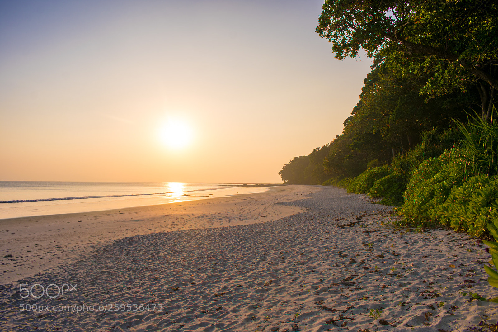 Nikon D3400 sample photo. Beauty of andamans photography