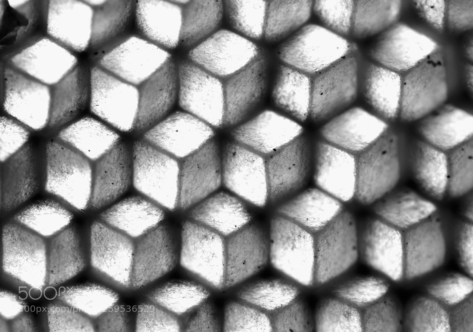 Pentax K-30 sample photo. Honeycomb - optical illusion photography