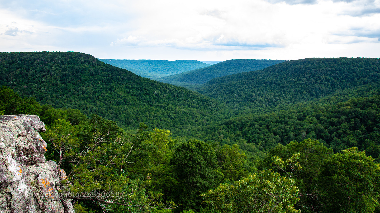 Nikon D7200 sample photo. Fiery gizzard trail #2 photography