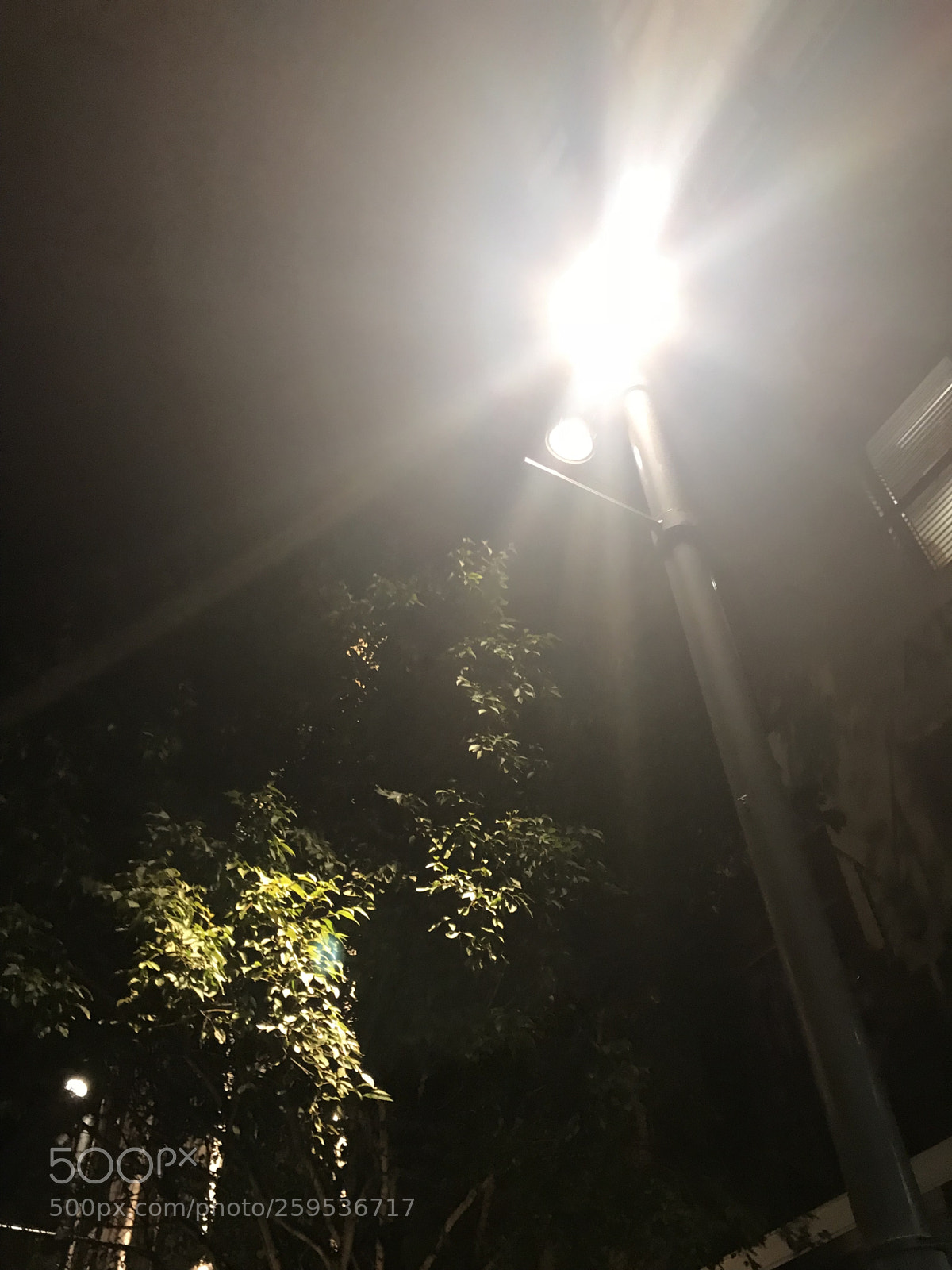 Apple iPhone 7 sample photo. Untitled photography