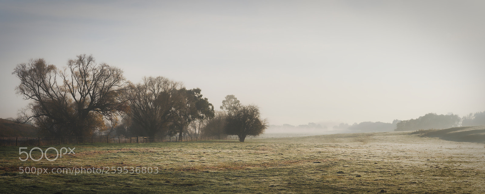 Nikon D610 sample photo. Daybreak photography