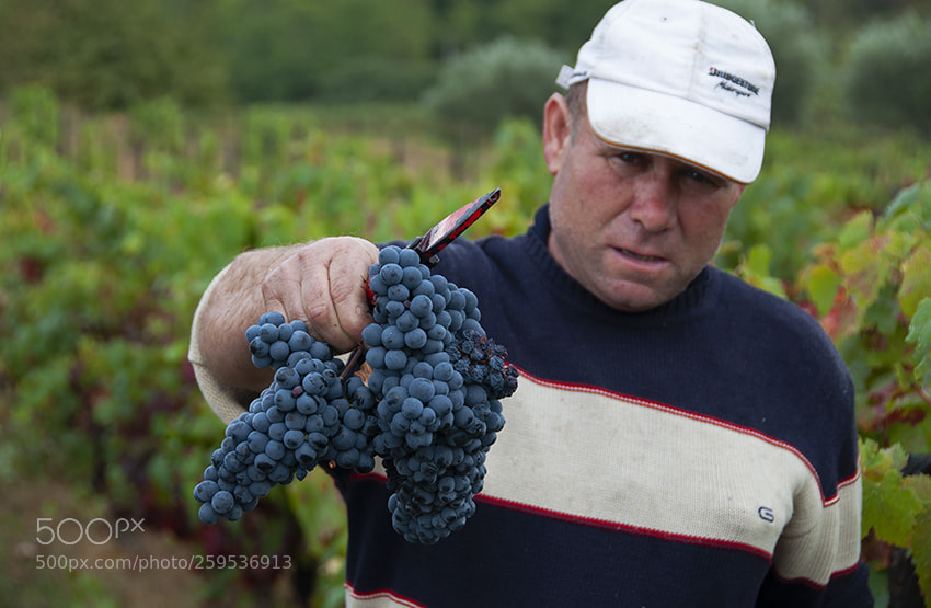 Nikon D5000 sample photo. Douro photography